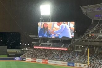 EN VIDEO | Le pidió matrimonio a su novia en pleno estadio durante el juego entre Venezuela y Cuba