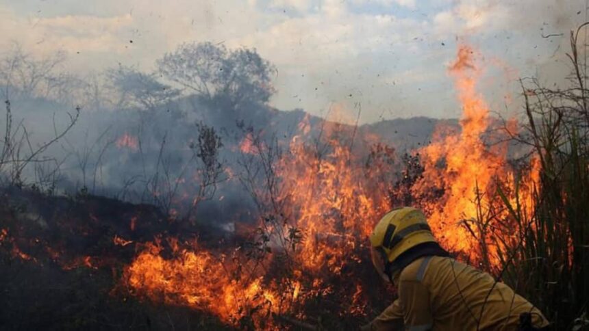 Altas temperaturas podrían desencadenar incendios forestales en al menos ocho estados