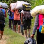 SIGUE EL DRAMA MIGRATORIO | Más de 100.000 venezolanos cruzaron el Darién en el primer semestre de 2023