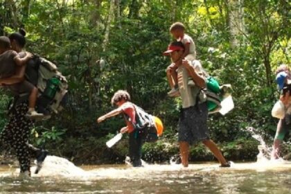 Ruta mortal: Otros tres venezolanos murieron en el Darién, todos menores de edad