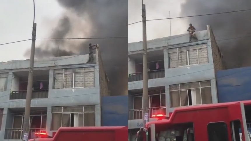 El heroico video de un hombre que rescató a 25 perritos de un edificio en llamas