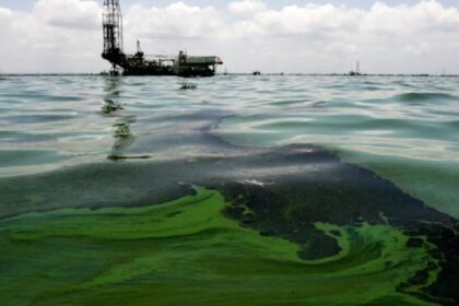 La foto tomada desde el espacio que muestra la contaminación que se apoderó del Lago de Maracaibo