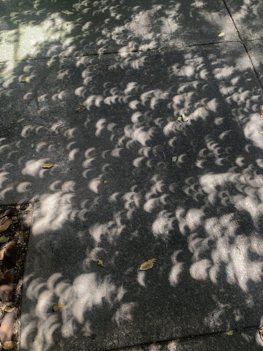 Las misteriosas sombras que aparecieron durante el eclipse solar