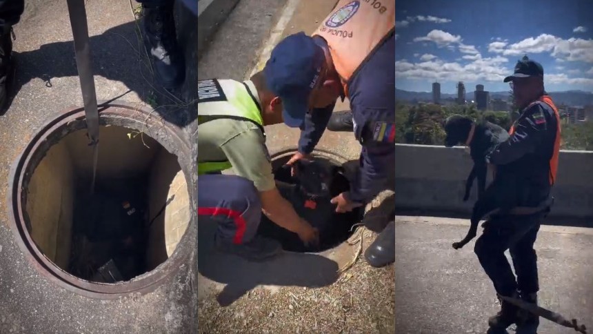 EN VIDEO: Funcionarios policiales rescataron a perrito que había caído en alcantarilla de la Cota Mil