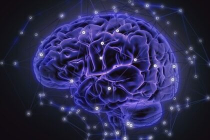 Estudio determinó la manera en que el cerebro "decide" qué recuerdos guardar y cuáles olvidar