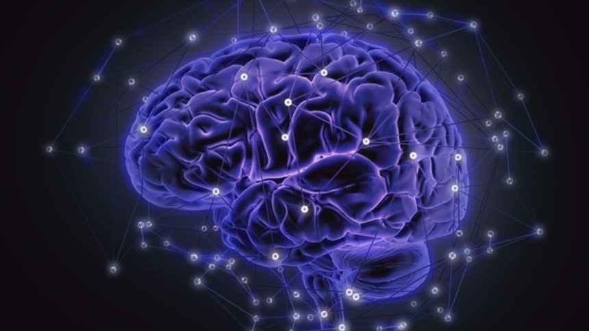 Estudio determinó la manera en que el cerebro "decide" qué recuerdos guardar y cuáles olvidar