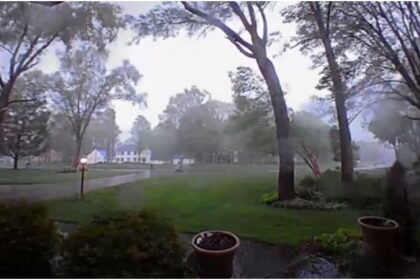 Un poderoso tornado arrancó este miércoles, 8 de mayo, varios árboles en Michigan (EEUU). El abrumador momento quedó captado en un video